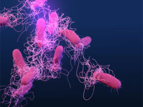 Visual Representation for Salmonella virus | Credits: CDC