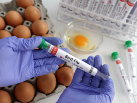 First Human Case of H5N1 Bird Flu in Texas