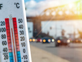 CDC Introduces Online Heat Forecaster to Prevent Heat-Related Emergencies