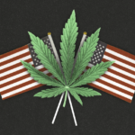 Biden Administration Considers Downgrading Marijuana Classification